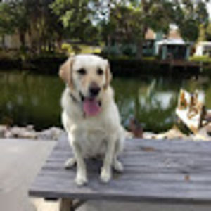 Meet your Posher, Nick